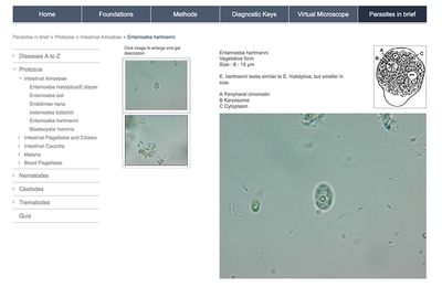 Introduction to Diagnostic Medical Parasitology