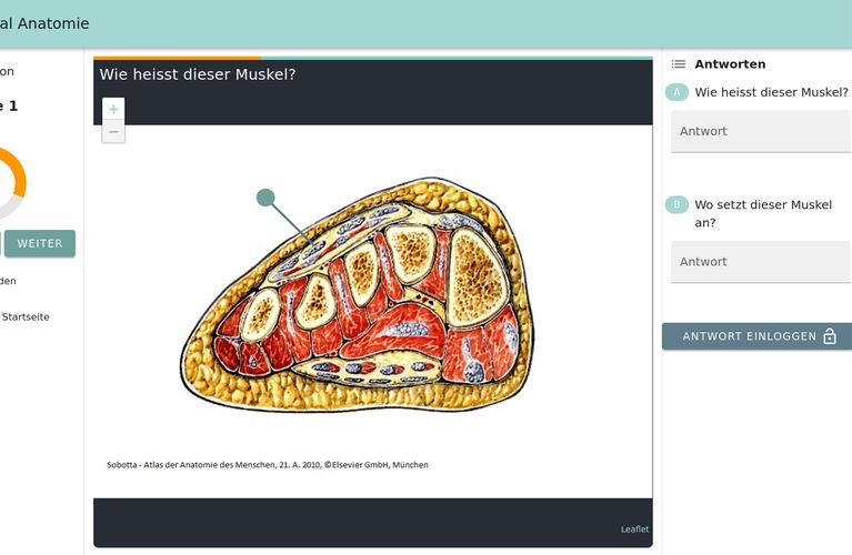 Online Tutorial Anatomie