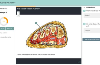 Online Tutorial Anatomie