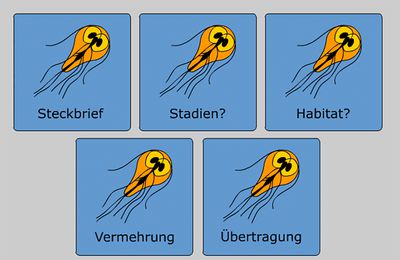 Parasitologie und Parasitismus