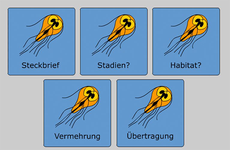 Parasitologie und Parasitismus